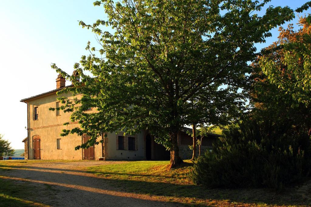 Tenuta Di Corbara Corbara  Ruang foto