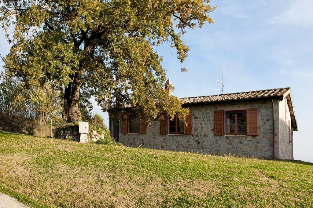 Tenuta Di Corbara Corbara  Bagian luar foto